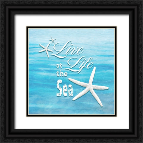 Free Gypsy Sea 1 Black Ornate Wood Framed Art Print with Double Matting by LightBoxJournal