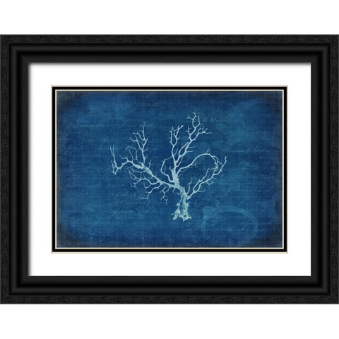 Gypsy Blue Cyanotype V1 Black Ornate Wood Framed Art Print with Double Matting by LightBoxJournal