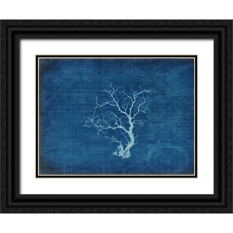 Gypsy Blue Cyanotype V2 Black Ornate Wood Framed Art Print with Double Matting by LightBoxJournal