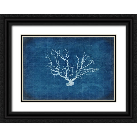 Gypsy Blue Cyanotype V3 Black Ornate Wood Framed Art Print with Double Matting by LightBoxJournal