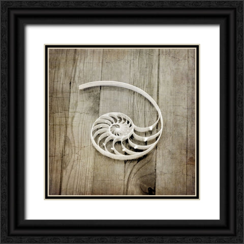 Gypsy Sea 2 Black Ornate Wood Framed Art Print with Double Matting by LightBoxJournal