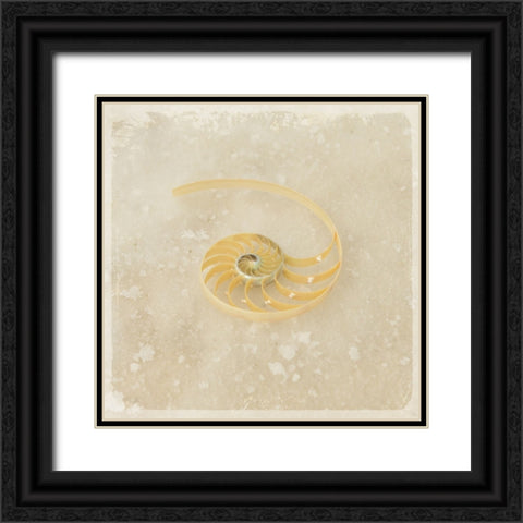 Gypsy Sea Brown 5 Black Ornate Wood Framed Art Print with Double Matting by LightBoxJournal