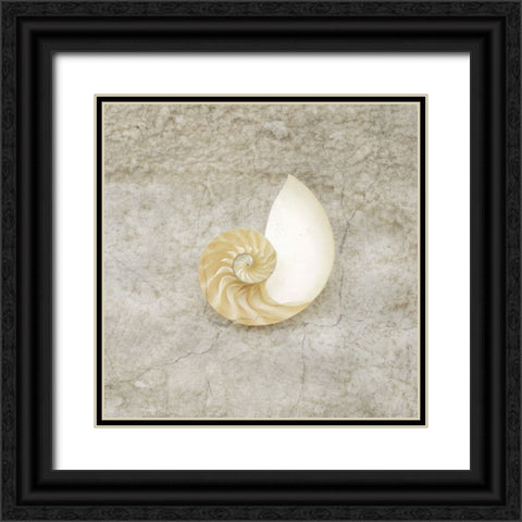 Gypsy Sea Life V1 Black Ornate Wood Framed Art Print with Double Matting by LightBoxJournal