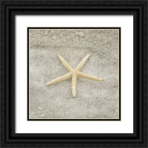 Gypsy Sea Life V4 Black Ornate Wood Framed Art Print with Double Matting by LightBoxJournal
