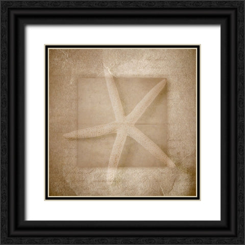 Sea Life 1 Black Ornate Wood Framed Art Print with Double Matting by LightBoxJournal