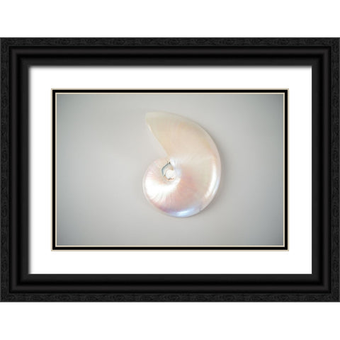 Sea Star 3 Black Ornate Wood Framed Art Print with Double Matting by LightBoxJournal