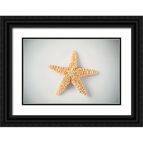 Sea Star 4 Black Ornate Wood Framed Art Print with Double Matting by LightBoxJournal