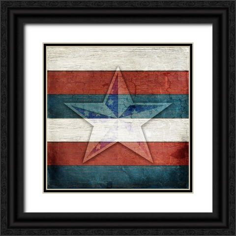 American Freedom Collection V4 Black Ornate Wood Framed Art Print with Double Matting by LightBoxJournal
