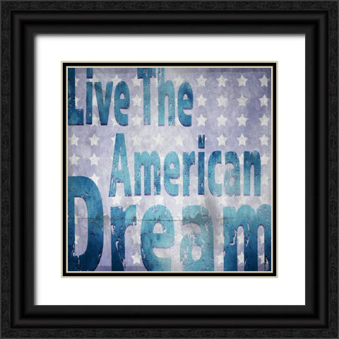 American Born Free Sign Collection V1 Black Ornate Wood Framed Art Print with Double Matting by LightBoxJournal