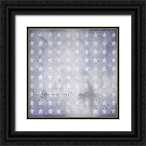 American Born Free Sign Collection V6 Black Ornate Wood Framed Art Print with Double Matting by LightBoxJournal