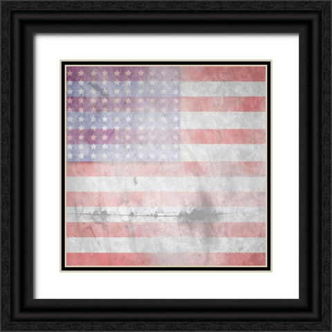 American Born Free Sign Collection V7 Black Ornate Wood Framed Art Print with Double Matting by LightBoxJournal