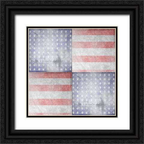 American Born Free Sign Collection V12 Black Ornate Wood Framed Art Print with Double Matting by LightBoxJournal