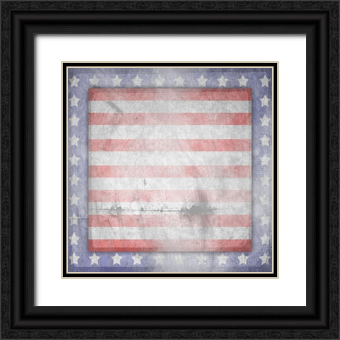 American Born Free Sign Collection V13 Black Ornate Wood Framed Art Print with Double Matting by LightBoxJournal