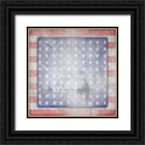 American Born Free Sign Collection V14 Black Ornate Wood Framed Art Print with Double Matting by LightBoxJournal