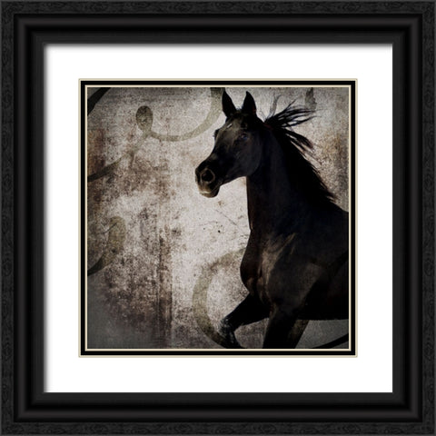 GypsyHorse Collection V1 1 Black Ornate Wood Framed Art Print with Double Matting by LightBoxJournal