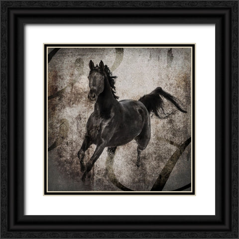 GypsyHorse Collection V1 3 Black Ornate Wood Framed Art Print with Double Matting by LightBoxJournal