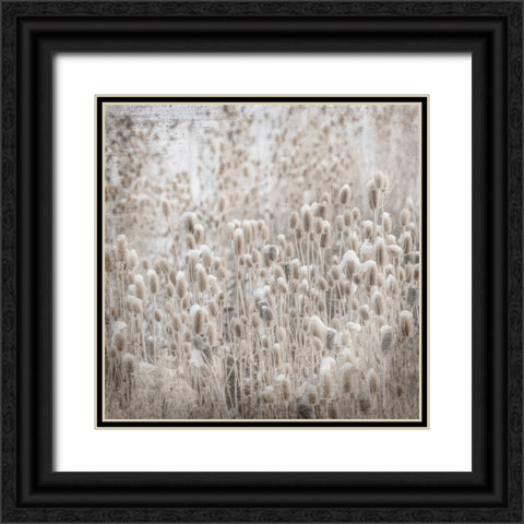 MyFarmMyWayPhotos 2 Black Ornate Wood Framed Art Print with Double Matting by LightBoxJournal