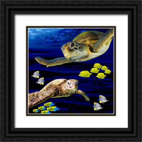 Sea Creatures_Turtle 2 Black Ornate Wood Framed Art Print with Double Matting by LightBoxJournal