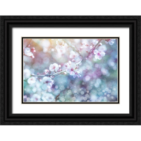 Cherry Blu 05 Black Ornate Wood Framed Art Print with Double Matting by LightBoxJournal