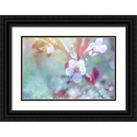 Cherry Blu 07 Black Ornate Wood Framed Art Print with Double Matting by LightBoxJournal