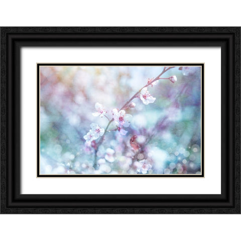 Cherry Blu 08 Black Ornate Wood Framed Art Print with Double Matting by LightBoxJournal