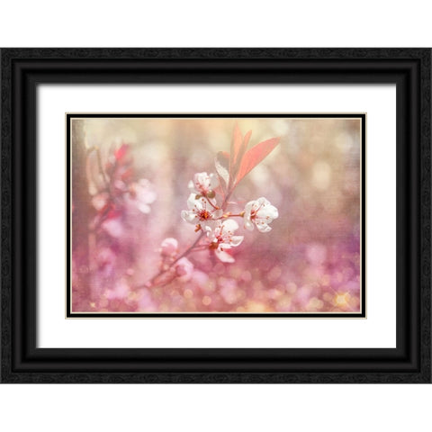 Gypsy Cherry 04 Black Ornate Wood Framed Art Print with Double Matting by LightBoxJournal