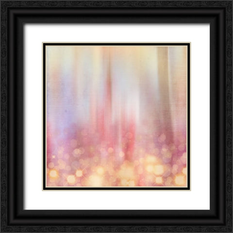 Gypsy Cherry Background Black Ornate Wood Framed Art Print with Double Matting by LightBoxJournal