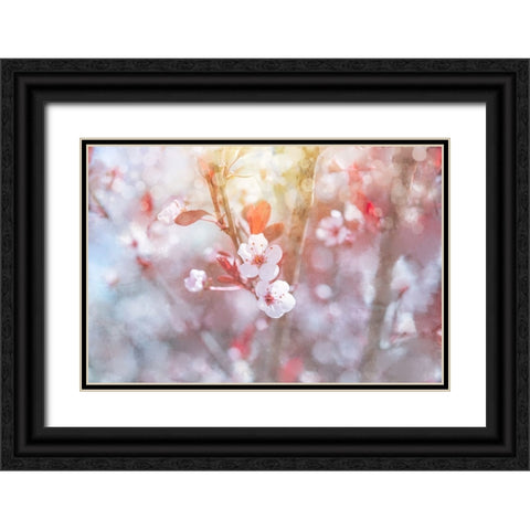 Spring Blooms 03 Black Ornate Wood Framed Art Print with Double Matting by LightBoxJournal