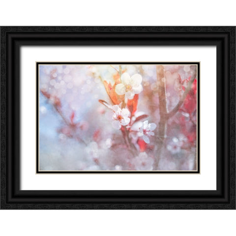 Spring Blooms 05 Black Ornate Wood Framed Art Print with Double Matting by LightBoxJournal