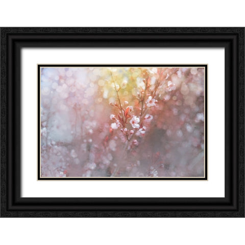 Spring Blooms 07 Black Ornate Wood Framed Art Print with Double Matting by LightBoxJournal