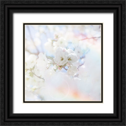 Apple Blossoms 04 Black Ornate Wood Framed Art Print with Double Matting by LightBoxJournal