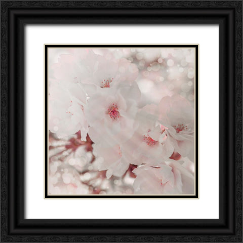 Pinky Blossom 1 Black Ornate Wood Framed Art Print with Double Matting by LightBoxJournal