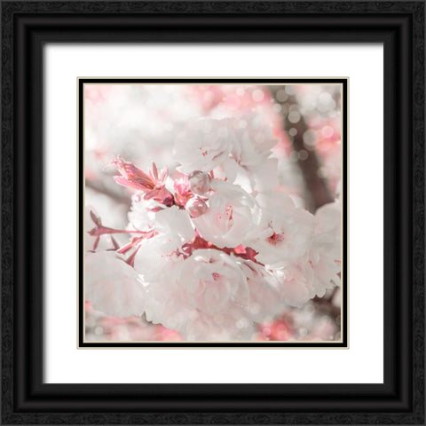 Pinky Blossom 3 Black Ornate Wood Framed Art Print with Double Matting by LightBoxJournal