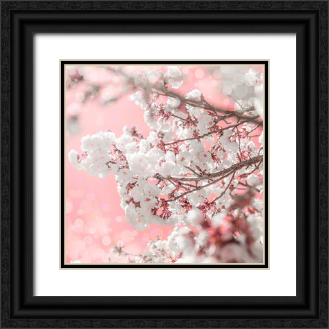 Pinky Blossom 5 Black Ornate Wood Framed Art Print with Double Matting by LightBoxJournal