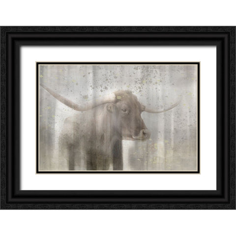 Antique Farm 19 Black Ornate Wood Framed Art Print with Double Matting by LightBoxJournal