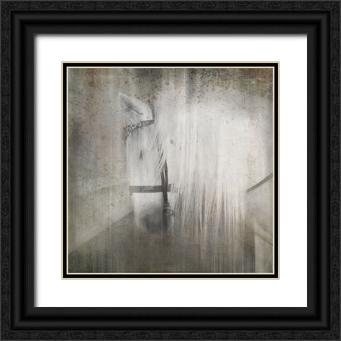Antique Farm 21 Black Ornate Wood Framed Art Print with Double Matting by LightBoxJournal