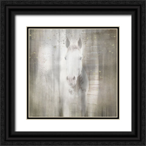 Antique Farm 30 Black Ornate Wood Framed Art Print with Double Matting by LightBoxJournal