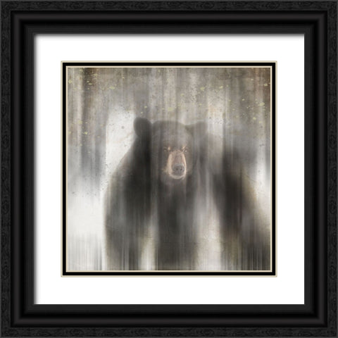Antique Wildlife bear Black Ornate Wood Framed Art Print with Double Matting by LightBoxJournal