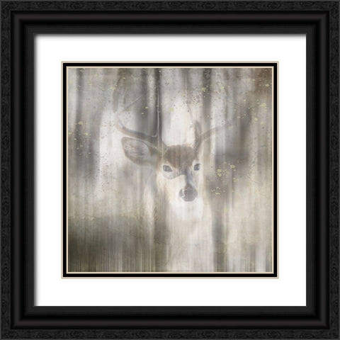 Antique Wildlife Deer 01 Black Ornate Wood Framed Art Print with Double Matting by LightBoxJournal
