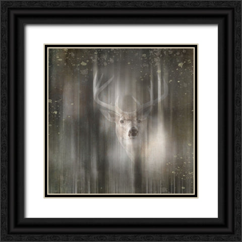 Antique Wildlife Deer 02 Black Ornate Wood Framed Art Print with Double Matting by LightBoxJournal