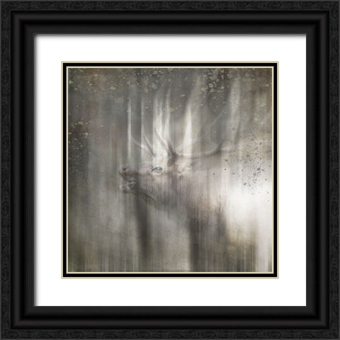 Antique Wildlife Elk Black Ornate Wood Framed Art Print with Double Matting by LightBoxJournal