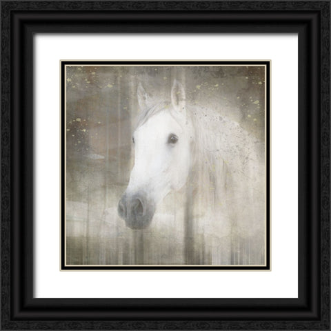 Antique Farm 031 Black Ornate Wood Framed Art Print with Double Matting by LightBoxJournal