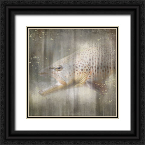 Antique Wildlife Brown Trout Black Ornate Wood Framed Art Print with Double Matting by LightBoxJournal