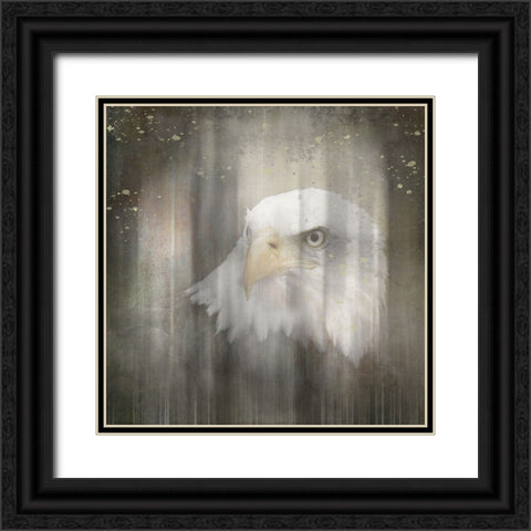 Antique Wildlife Eagle Black Ornate Wood Framed Art Print with Double Matting by LightBoxJournal