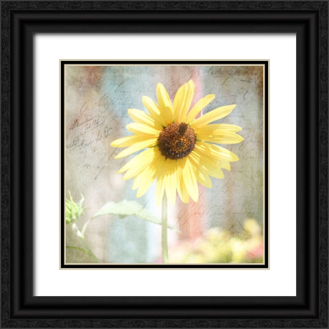 JunkGypsy 36 Black Ornate Wood Framed Art Print with Double Matting by LightBoxJournal