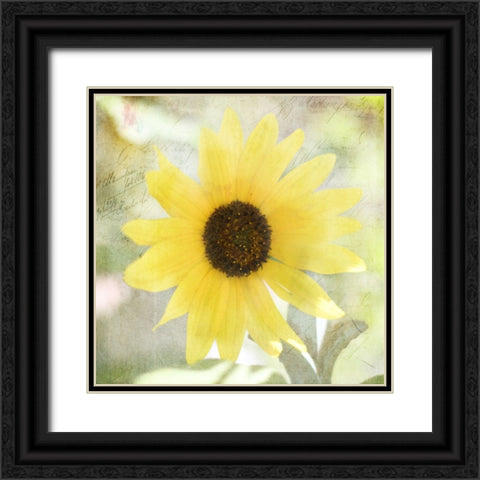 JunkGypsy 37 Black Ornate Wood Framed Art Print with Double Matting by LightBoxJournal