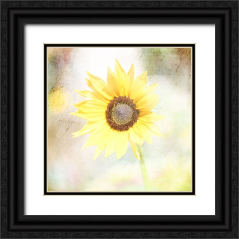JunkGypsy 39 Black Ornate Wood Framed Art Print with Double Matting by LightBoxJournal
