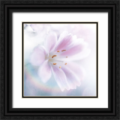 Mystical Gypsy Flower 02 Black Ornate Wood Framed Art Print with Double Matting by LightBoxJournal