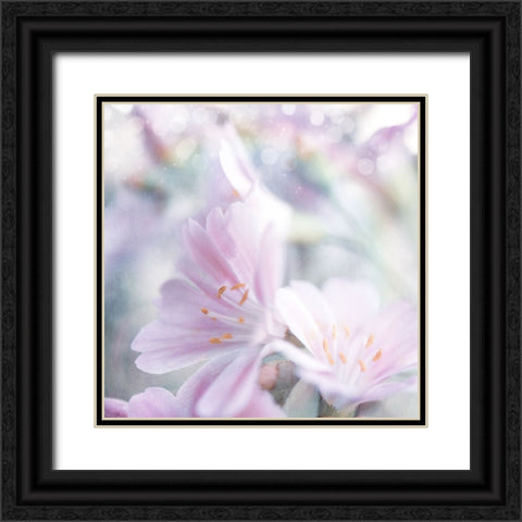 Mystical Gypsy Flower 05 Black Ornate Wood Framed Art Print with Double Matting by LightBoxJournal