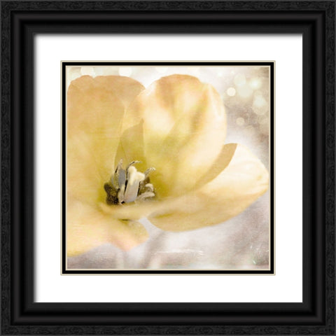 Yellow Tulip 01 Black Ornate Wood Framed Art Print with Double Matting by LightBoxJournal